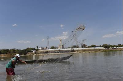 Contaminação de peixes de água doce vira preocupação no mundo