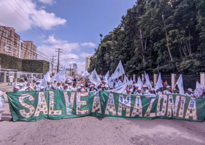 MAB Realizará Atos em Todo o País no Dia da Amazônia para Reivindicar Direitos e Reparação para Atingidos pela Crise Climática