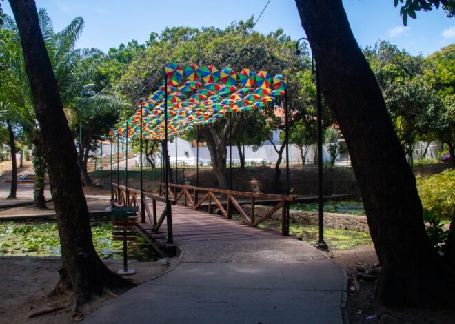 Feira Gastronômica Olinda Dá Gosto se consolida como o “oásis” do Carnaval em Olinda